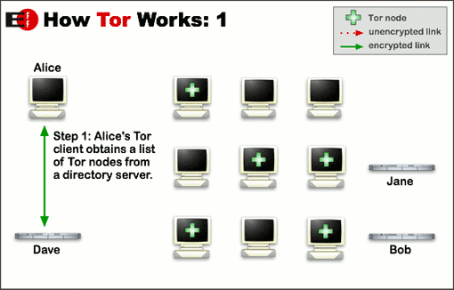 tor browser relays мега