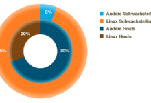 Erster Swiss Vulnerability Report (2013) sogleich letzter?